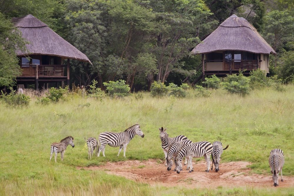 Ivory Lodge Dete Extérieur photo