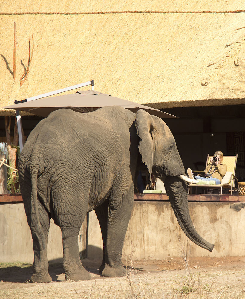 Ivory Lodge Dete Extérieur photo