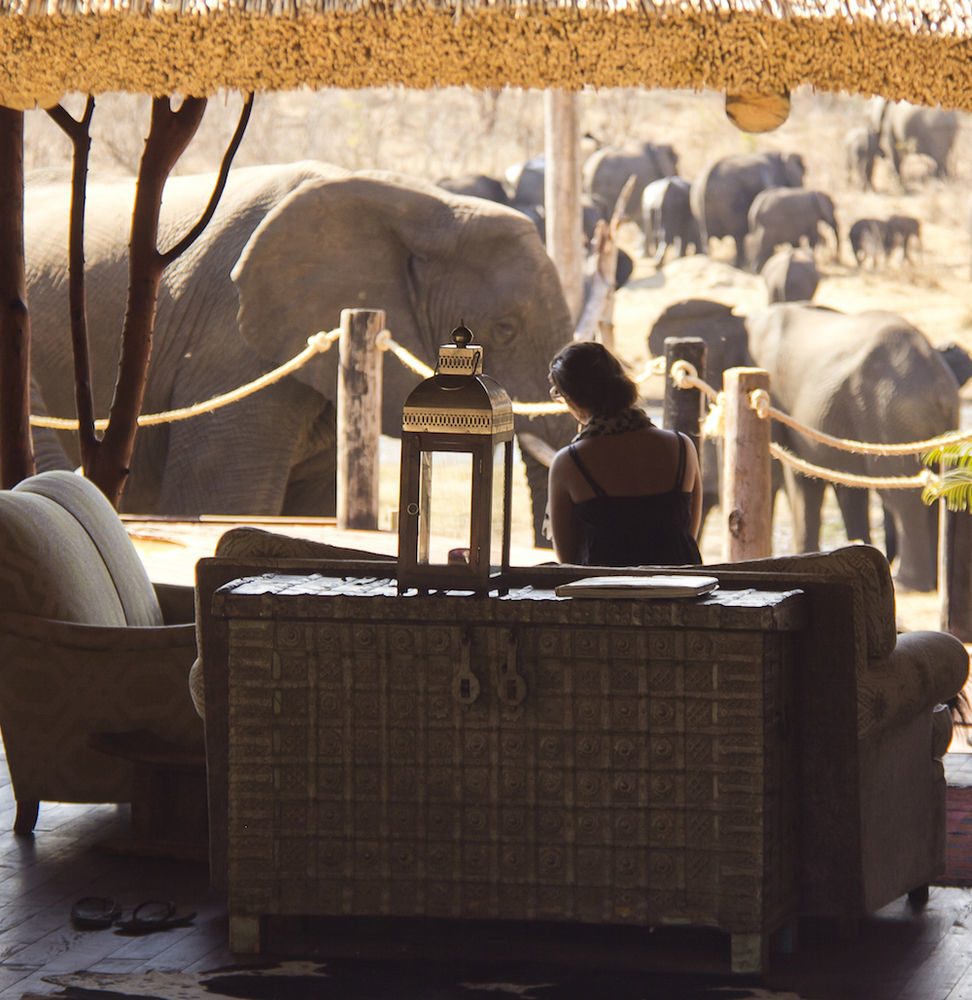 Ivory Lodge Dete Extérieur photo